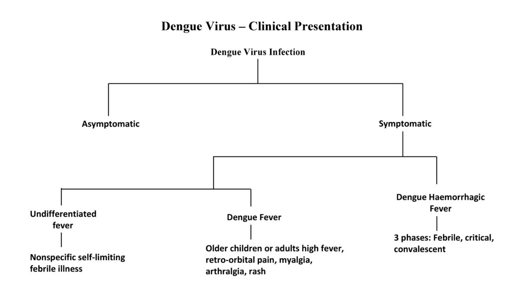 Dengue fever: Clinical presentation